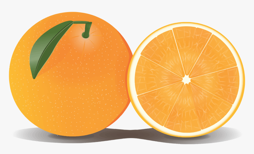 Orange Slice Png Download Image - Orange Png Clipart, Transparent Png, Free Download