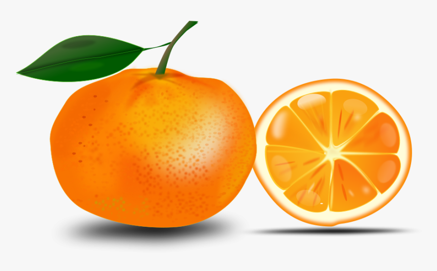 Orange Png Image, Free Download - Orange Clipart Free, Transparent Png, Free Download