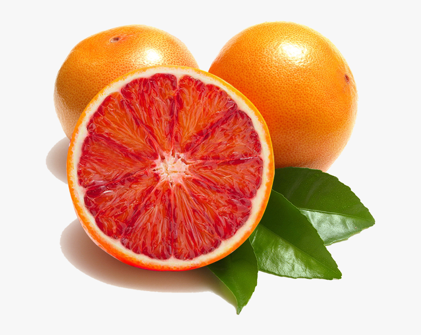 Blood Orange Fruit Png, Transparent Png, Free Download