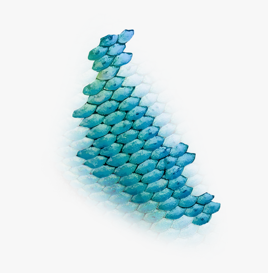 Mermaid Fish Scales Png, Transparent Png, Free Download