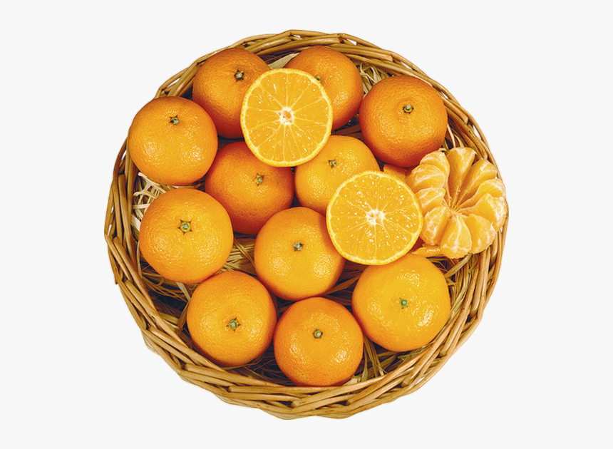 Transparent Oranges Png - พื้น หลัง ส้ม, Png Download, Free Download