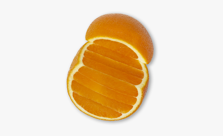 Clementine, HD Png Download, Free Download