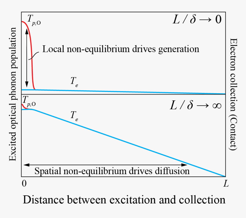 Non-equilibrium For Two Length Scales - Natural Selection, HD Png Download, Free Download