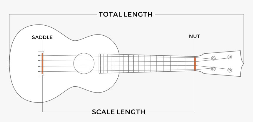 Red Clipart Ukulele - Ukulele Scale Length, HD Png Download, Free Download