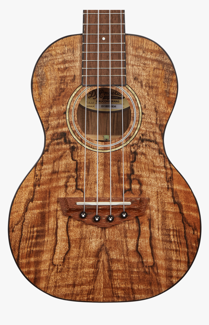 D"angelico Bayside Concert Ukulele - D Angelico Bayside Concert Ukulele Spalted Mango Natural, HD Png Download, Free Download