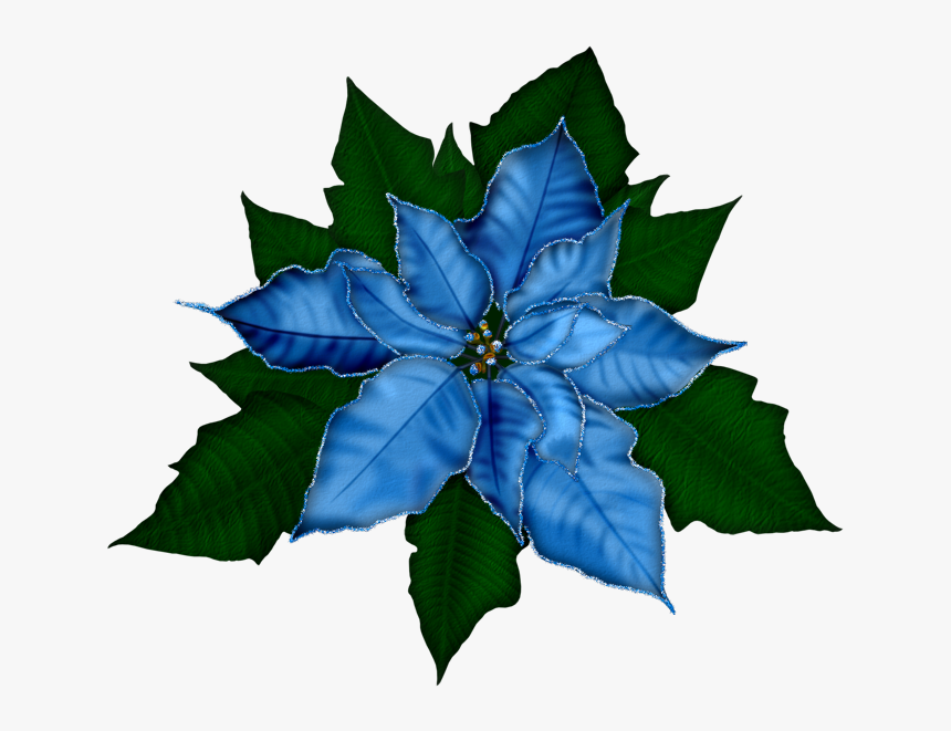 Fantasy Moments ~ Winter Impressions - Transparent Background Poinsettia Clipart Png, Png Download, Free Download