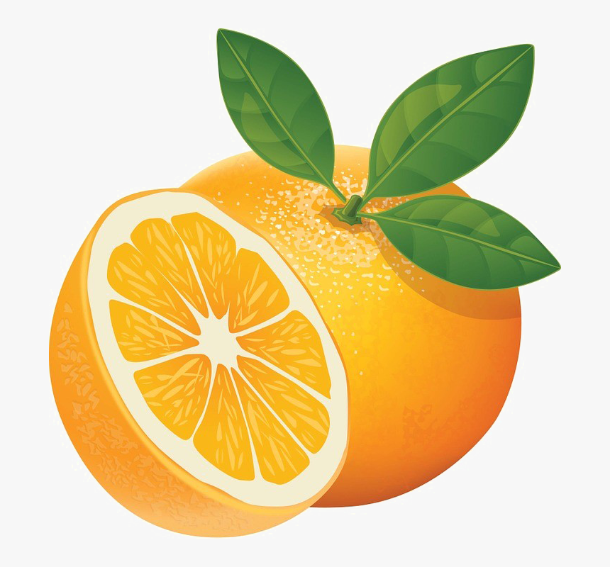 Orange Slice Png High-quality Image - Illustrator Orange Vector Png, Transparent Png, Free Download