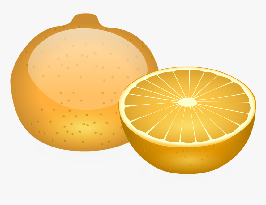 Orange Fruit Slice Free Picture - Rangpur, HD Png Download, Free Download