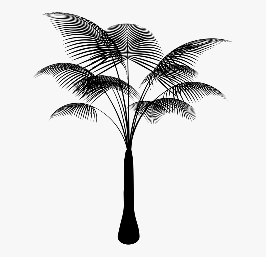 Botany,plant,flower - Tropical Plant Pixabay Png, Transparent Png, Free Download