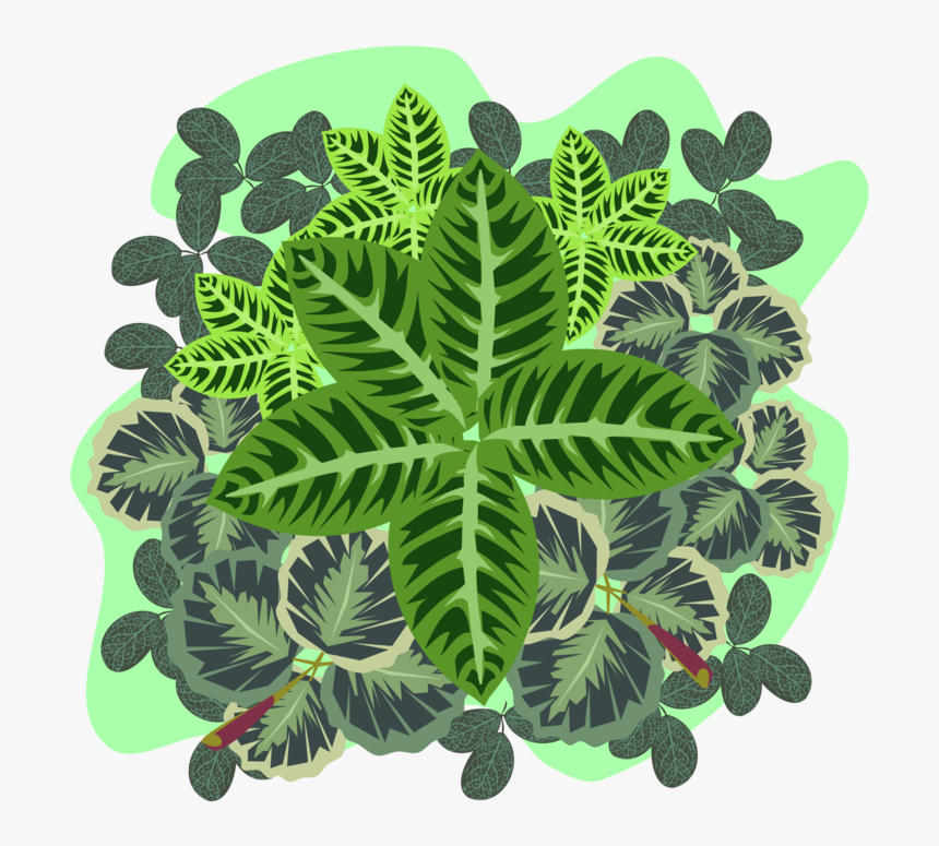 Plant,flora,leaf - Cross, HD Png Download, Free Download