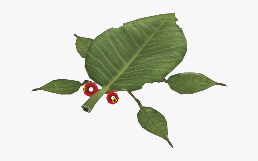 Skitter Leaf - Pikmin Skitter Leaf, HD Png Download, Free Download