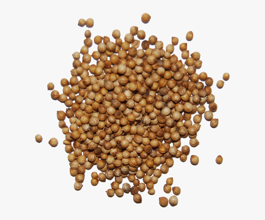 Download Seed Png - Herb Seeds Png, Transparent Png, Free Download