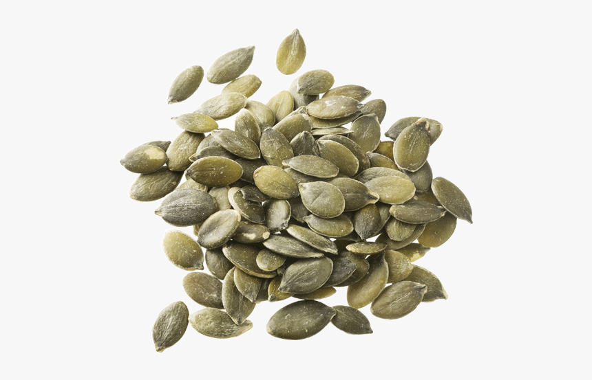 Download Pumpkin Seeds Png Pic - Pumpkin Seed Png, Transparent Png, Free Download