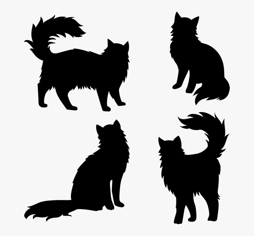 Cat Silhouettes, Furry, Cat, Tail, Cute, Domestic, - Cat Grabs Treat, HD Png Download, Free Download