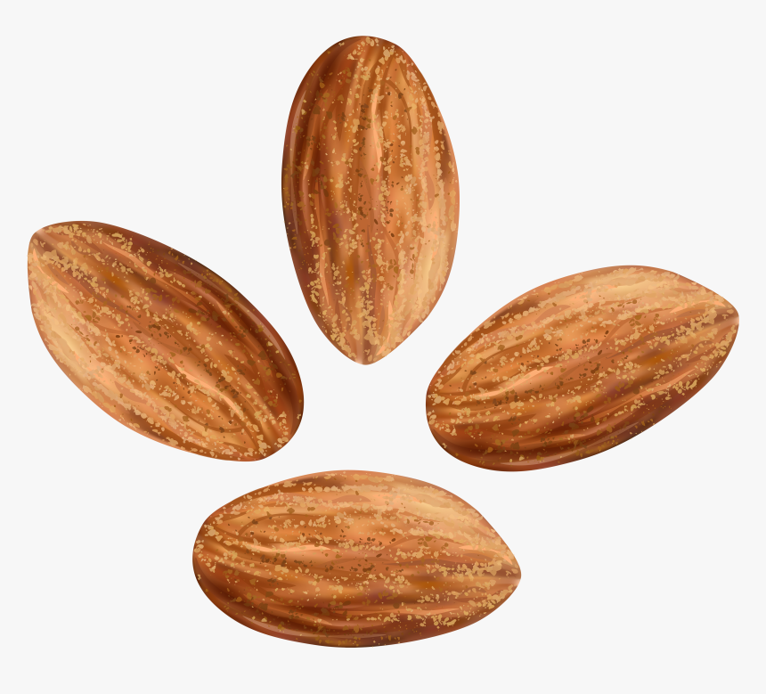 Almonds Transparent Clip Art - Almonds Clipart, HD Png Download, Free Download