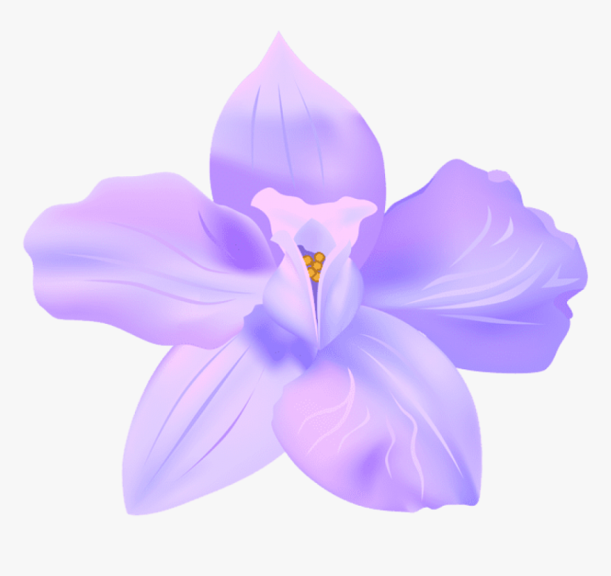 Transparent Spring Flower - Spring Flower Transparent Background, HD Png Download, Free Download