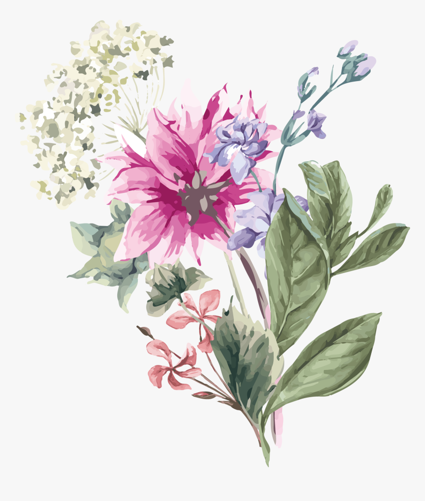 Hydrangea Flower Stock Illustration Illustration - Butterfly Flower Vector Png, Transparent Png, Free Download
