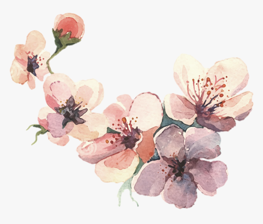 Watercolor Painting Water Color Svg Library Library - Flower Water Paint Png, Transparent Png, Free Download