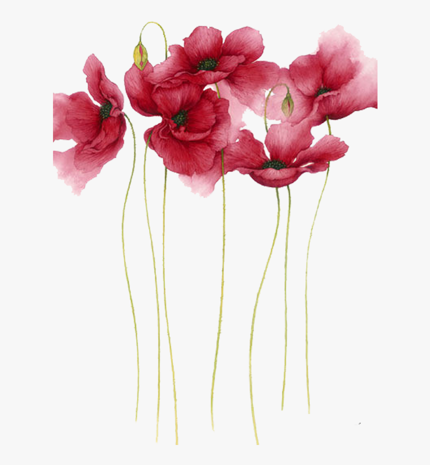 Watercolor Painting Flower Drawing Art Watercolor Flowers - Watercolor Painting Flowers Png, Transparent Png, Free Download