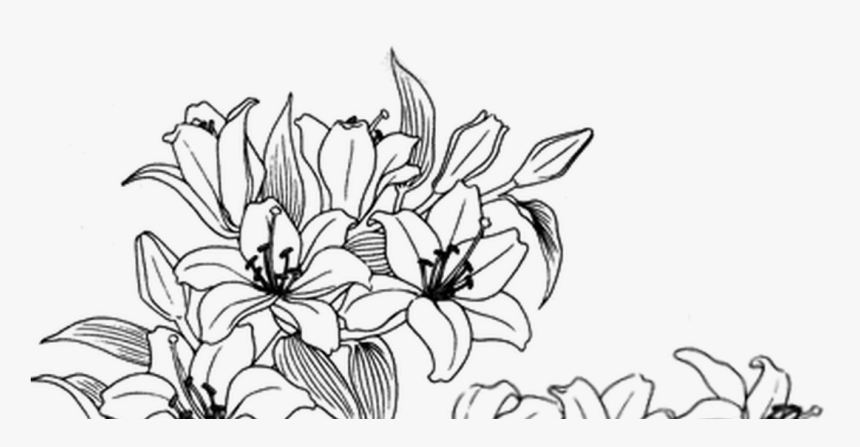 Pin By Thetrendedit On Art Drawings, Flower Drawing - Aesthetic