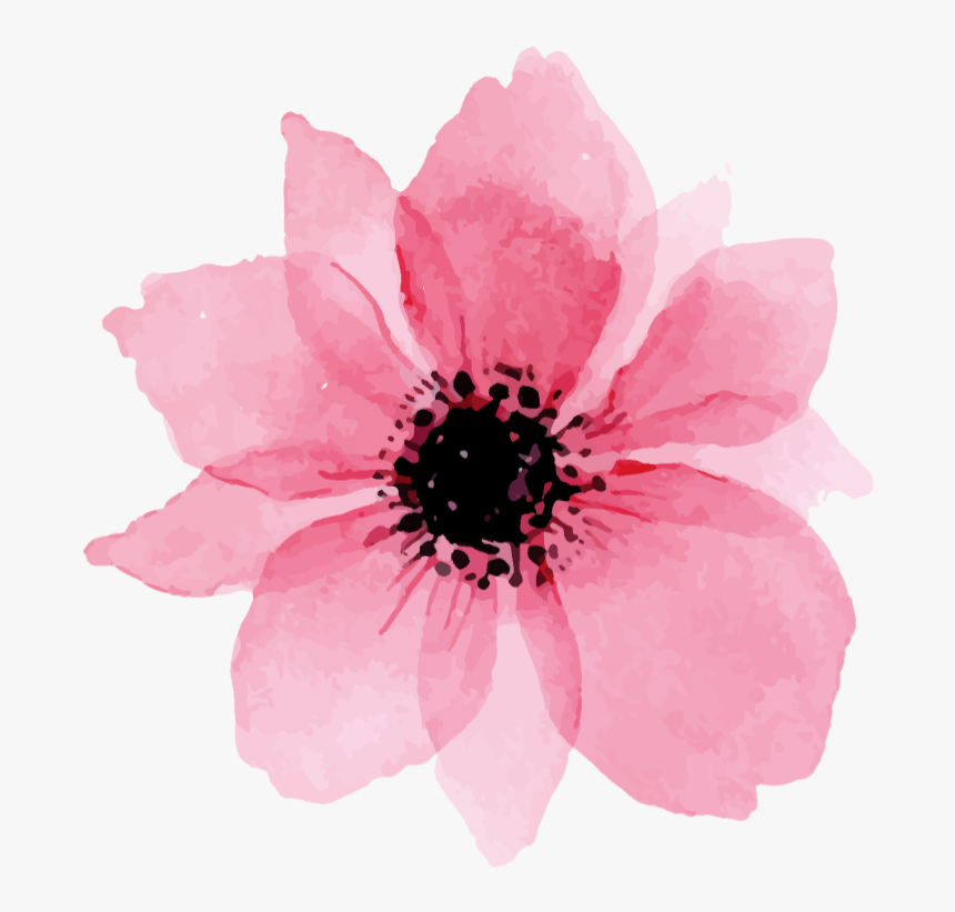 #flower #flowers #paint #paintings #draw #drawing #pink - Watercolor Flower Png Transparent, Png Download, Free Download