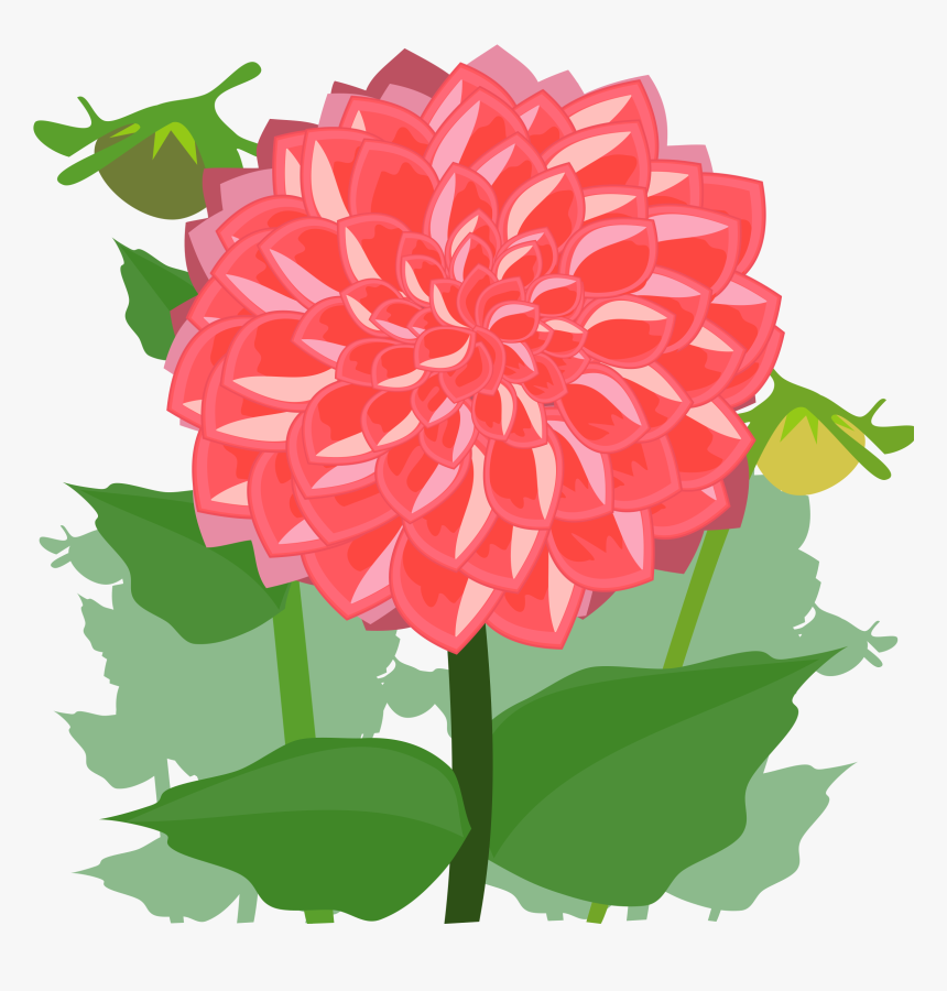Plant,flower,peach - Dahlia Clipart, HD Png Download, Free Download
