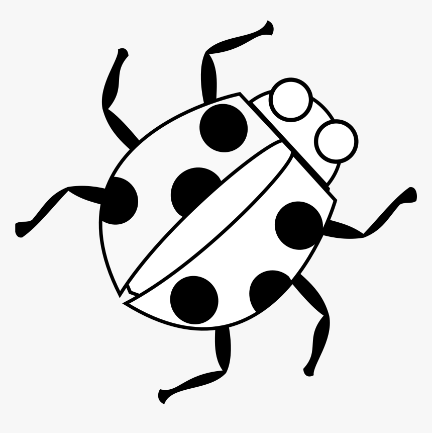 Line Drawing Of Bug - Bug Clipart Black And White, HD Png Download, Free Download