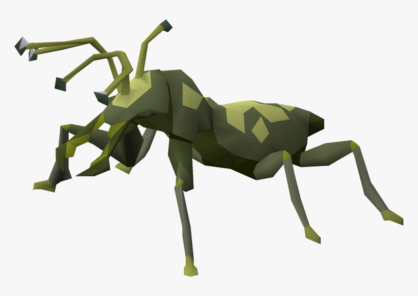 Ant, HD Png Download, Free Download