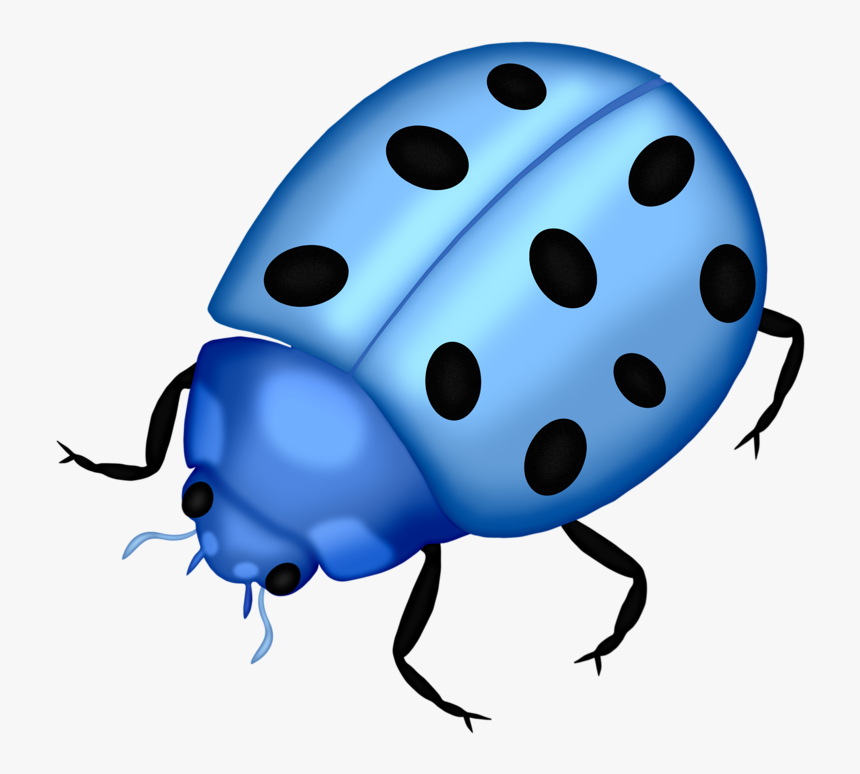 Bug Png Clip Art Lady Bugs And - Blue Ladybug Transparent Background, Png Download, Free Download