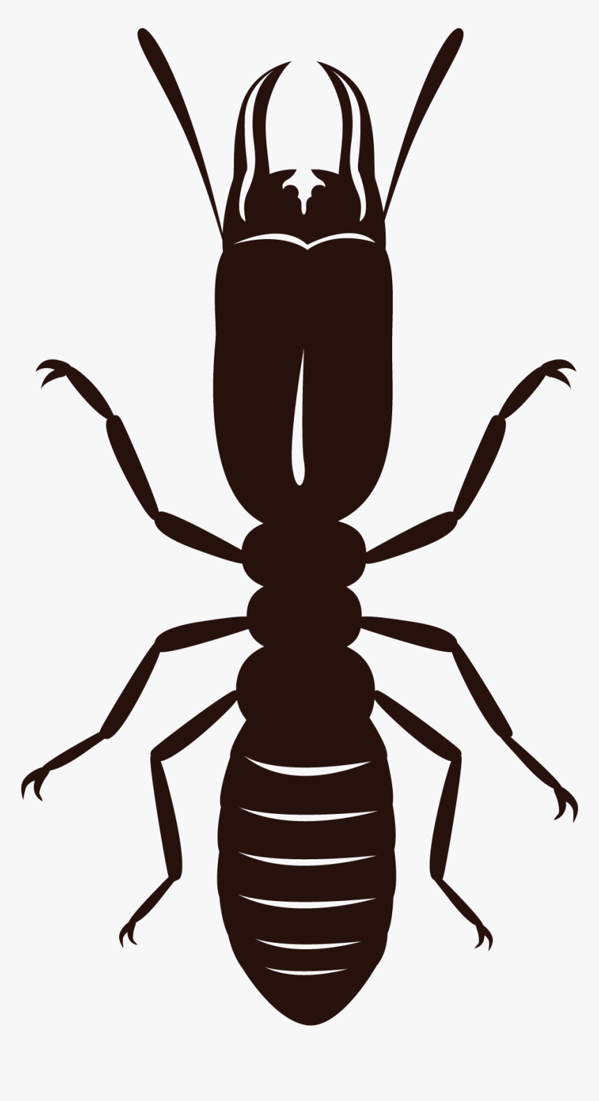 Termite Png Hd - Termite Png, Transparent Png, Free Download