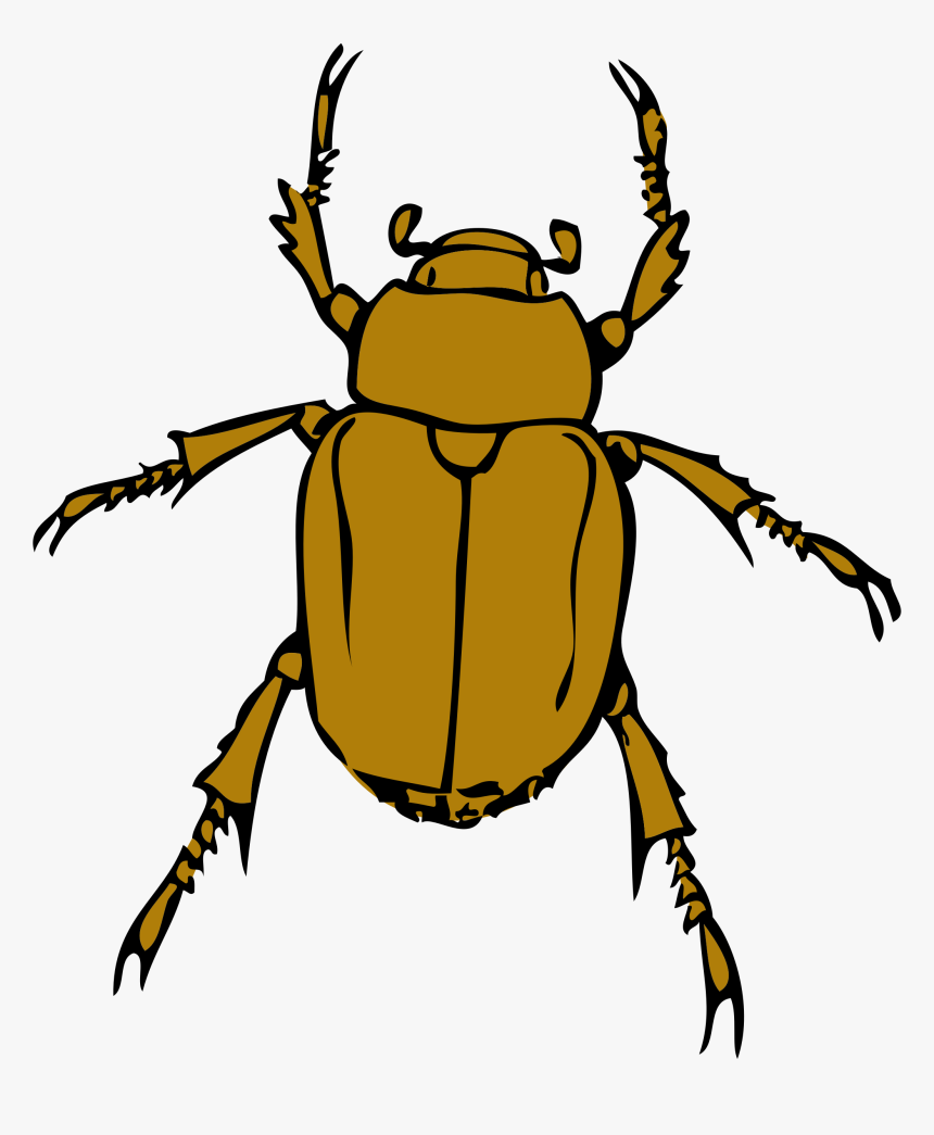 Bug Art Clipart - Beetle Clip Art, HD Png Download, Free Download