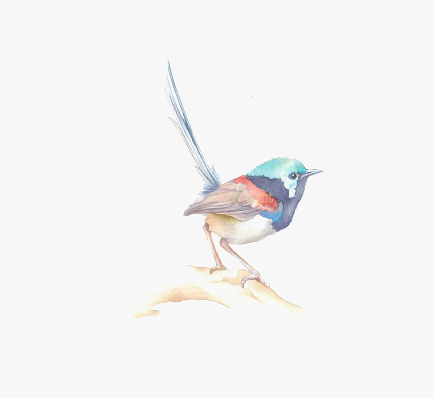 Sparrow Png Image & Sparrow Clipart - Watercolor Painting, Transparent Png, Free Download