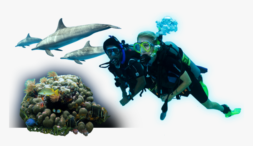 Underwater - Portable Network Graphics, HD Png Download, Free Download