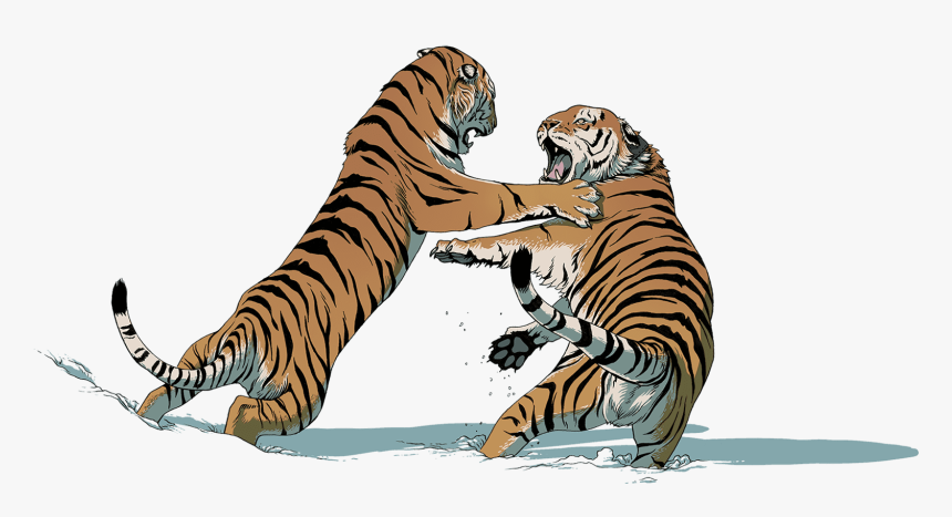 Two Tigers Fighting - Tiger Fight Png, Transparent Png, Free Download