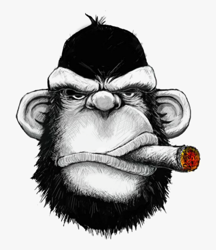 #mq #monkey #gorilla #ciggarette #smoke #black - Monkey Cigar, HD Png Download, Free Download