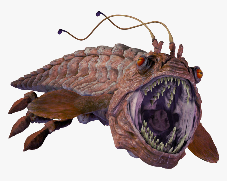 Premium Eras Canon - Star Wars Goober Fish, HD Png Download, Free Download