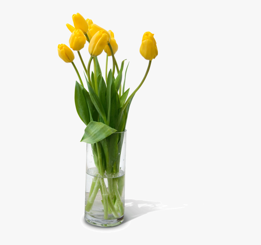 Flower Vase Png Free Download - Vase With Flowers Png, Transparent Png, Free Download