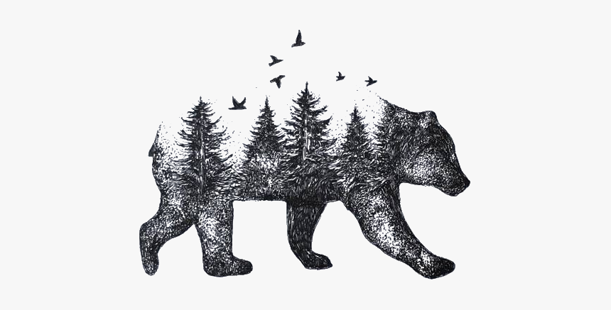 Idea Tattoo Drawing Bear Nature Png Free Photo Clipart - Bear Tree Drawing, Transparent Png, Free Download