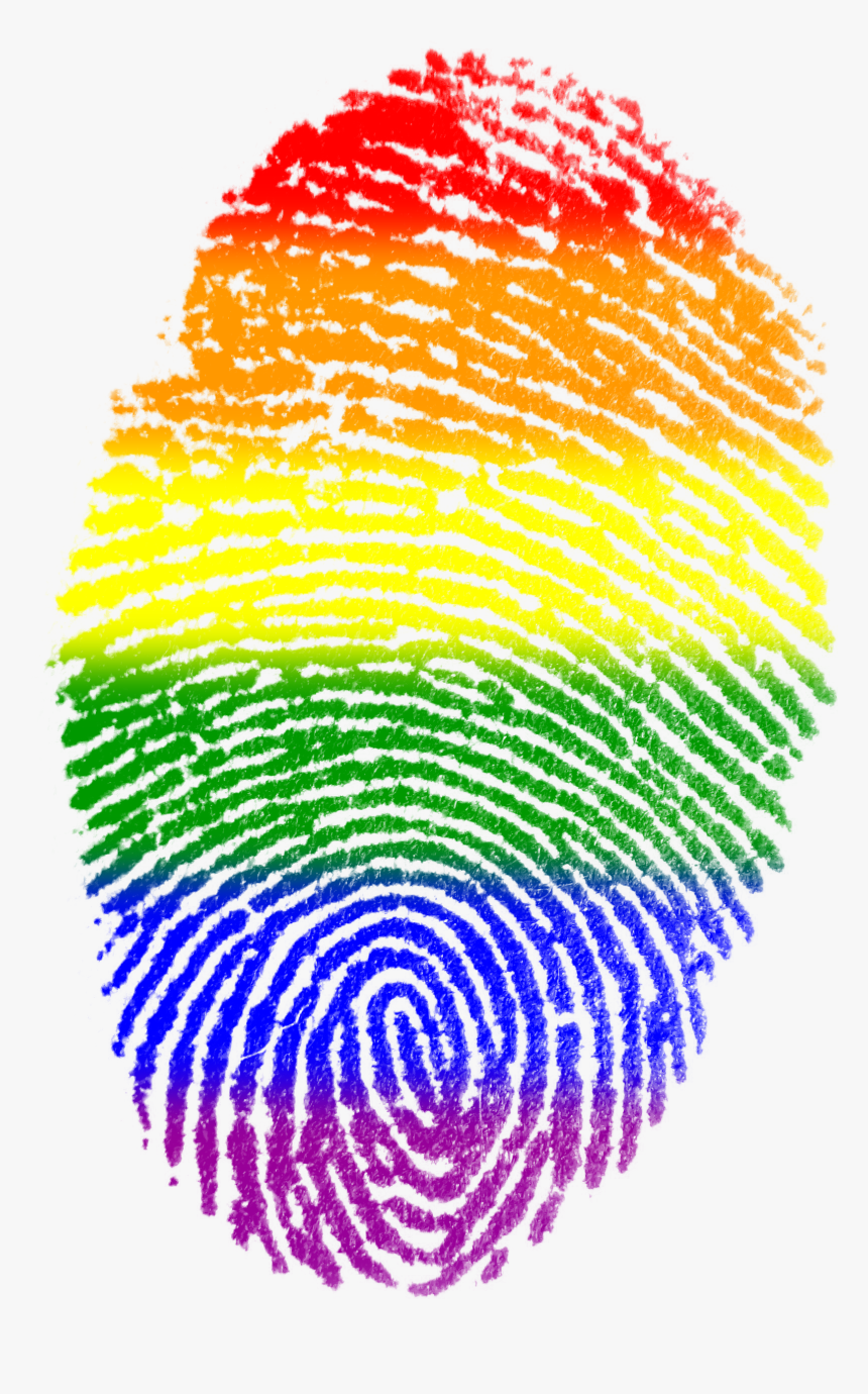 Lgbt Png, Transparent Png, Free Download