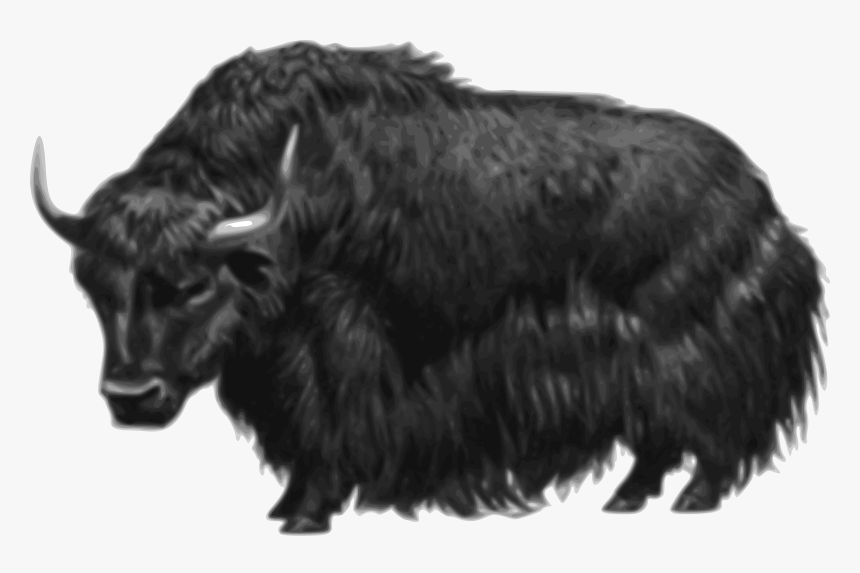 Yak Clip Arts - Yak Bison, HD Png Download, Free Download