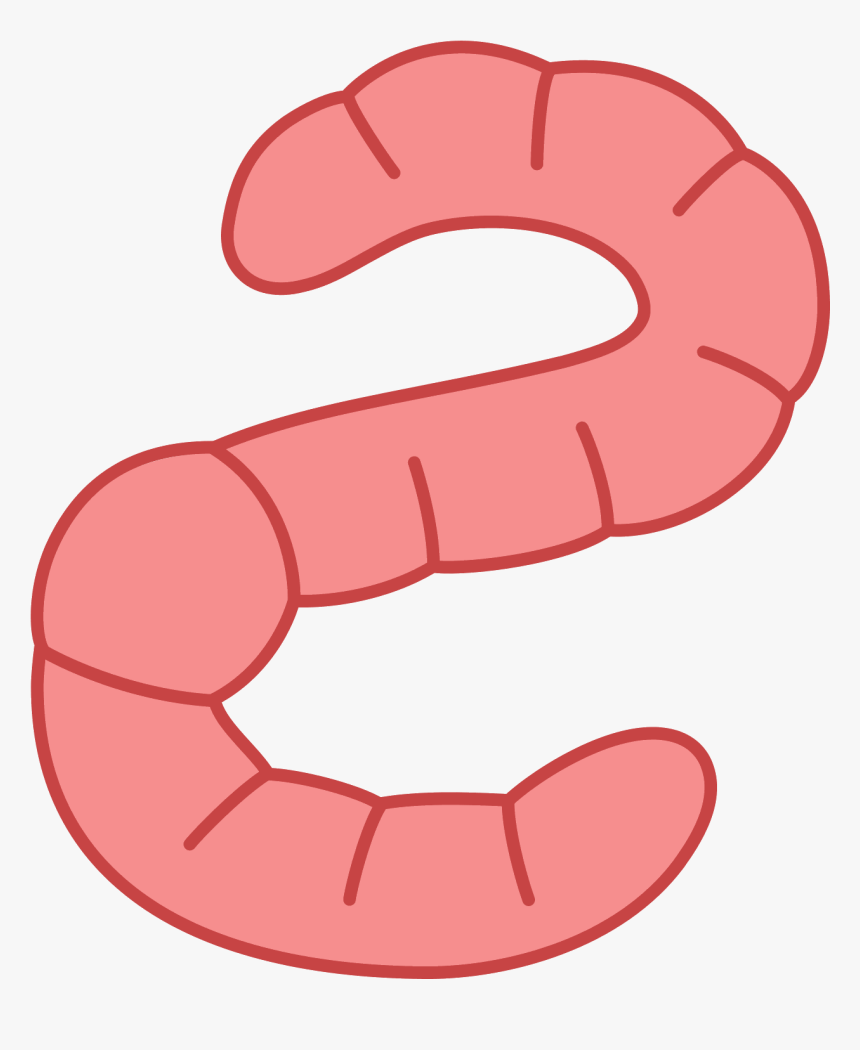Earthworm Worm Png - Worm Illustration Png, Transparent Png, Free Download