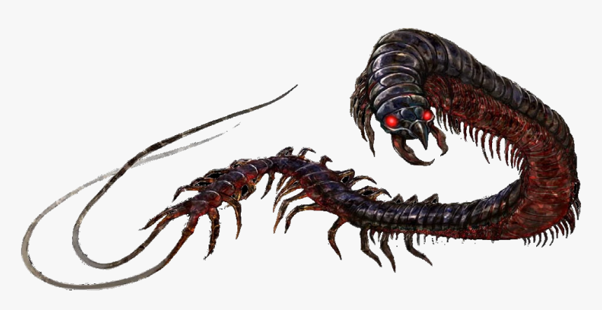 Pathfinder Exoskeleton Titan Centipede, HD Png Download, Free Download