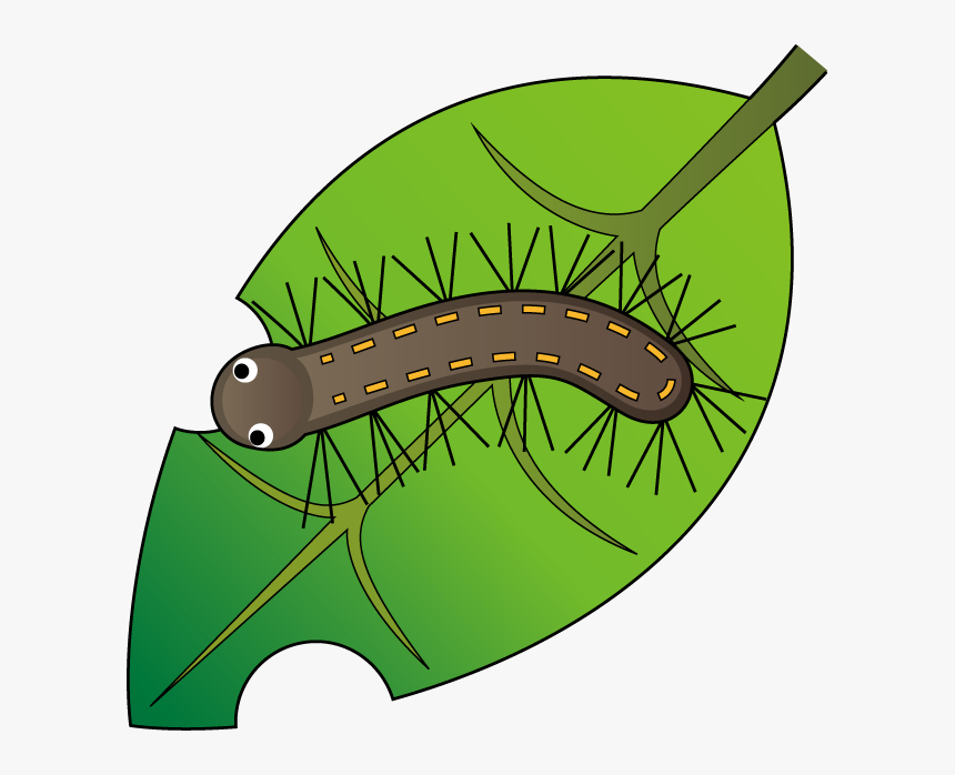 Caterpillar Worm Butterfly Clip Art - 毛虫 イラスト, HD Png Download, Free Download