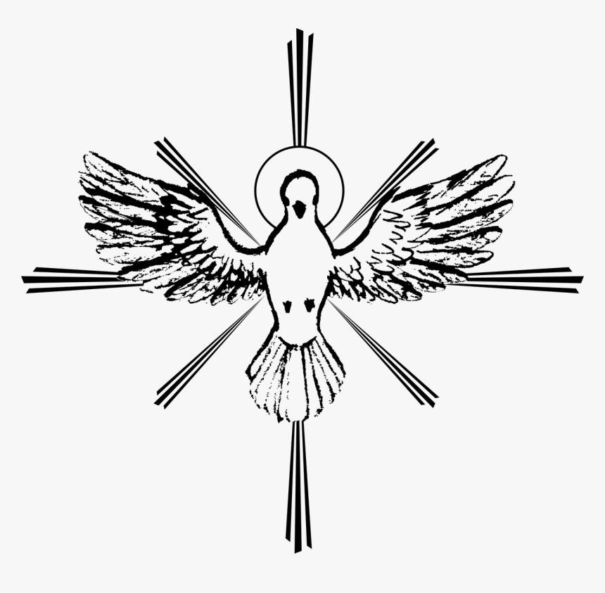 Drawing Holy Spirit Dove, HD Png Download, Free Download