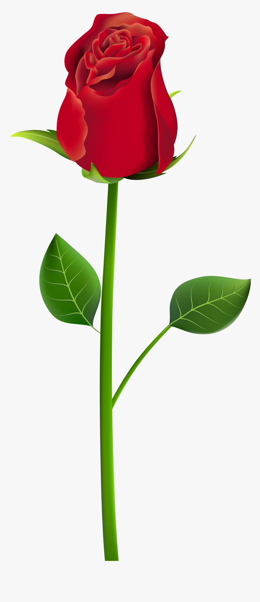 Clip Art Png Clip Art Image - Picsart Rose Png Hd, Transparent Png, Free Download