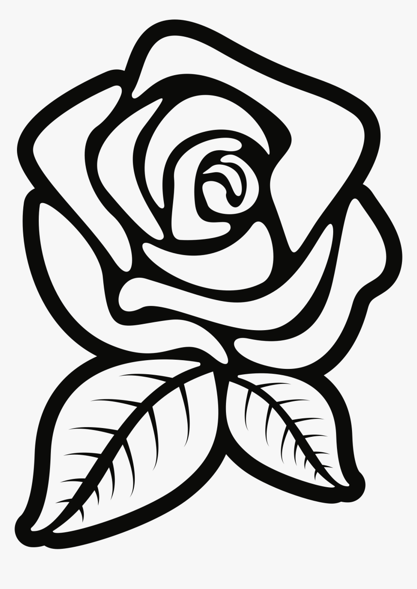 Rose Outline Png - Rose Black And White Flower Clipart, Transparent Png, Free Download