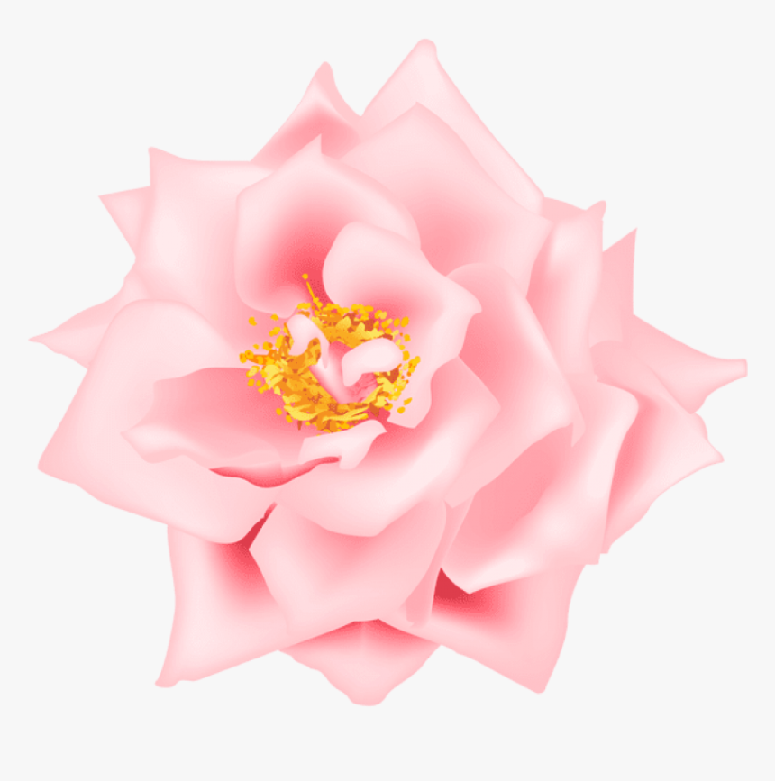 Pink Rose Clipart - Floribunda, HD Png Download, Free Download