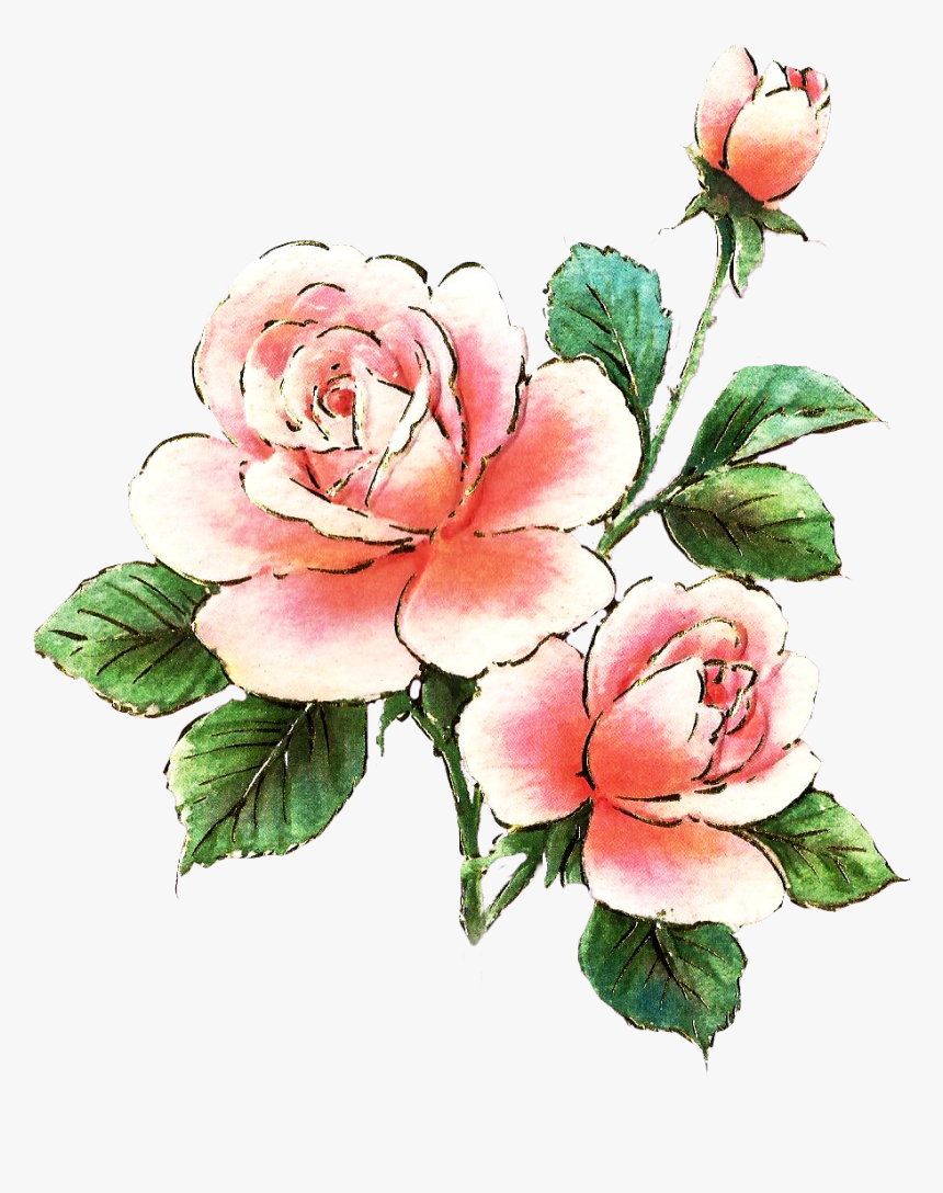 Pink Rose Clipart Dozen Rose - Free Pink Roses Clipart, HD Png Download, Free Download