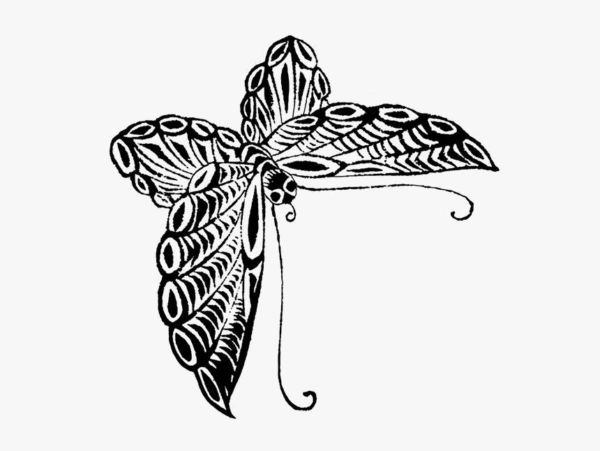 Japanese Butterfly Sketch - Leaves Png Sketches, Transparent Png, Free Download