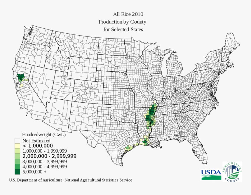 Rice Production In The United States Map Of Tomato - Texas Rice Belt, HD Png Download, Free Download